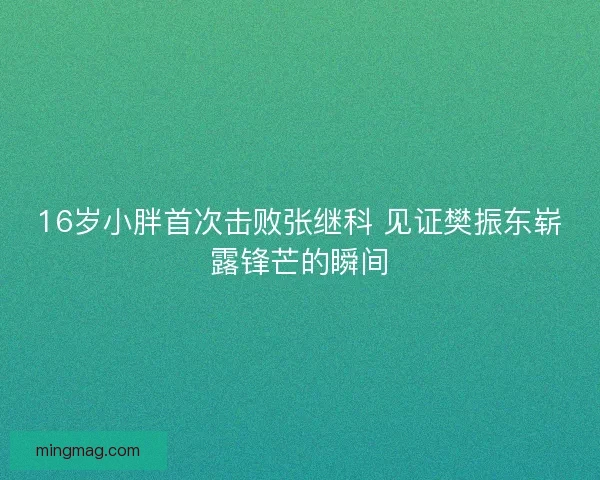 16岁小胖首次击败张继科 见证樊振东崭露锋芒的瞬间